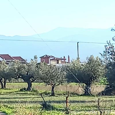 Beautiful 1-bed Cottage in Megalopolis