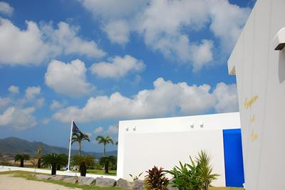 Windy Earth SILENT CLUB