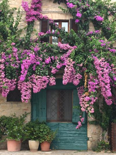 Nonna Rosa Civitanova