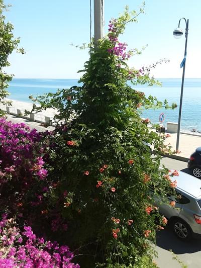 B&B La Rosa dei Venti
