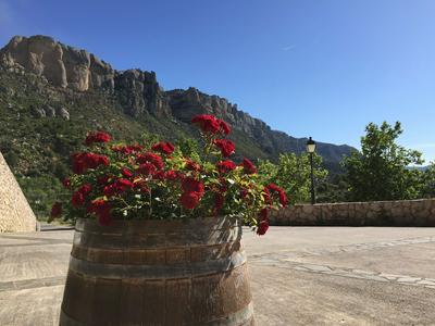 Hotel Restaurant El Balco del Priorat