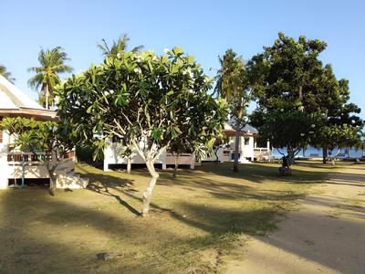 Jinta Beach Bungalow