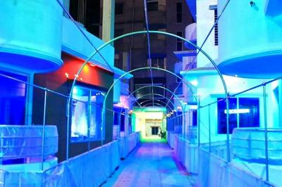 Amir Hamza Mia Palace