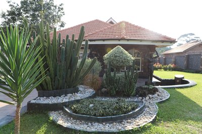 Stallion Place Hotel - Bed and Breakfast