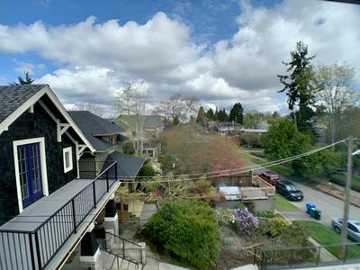Birdhouse on GreenLake