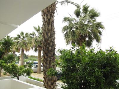 Majestic Webooking Apartments 4