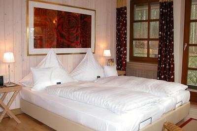 Hotel Der Waldkater
