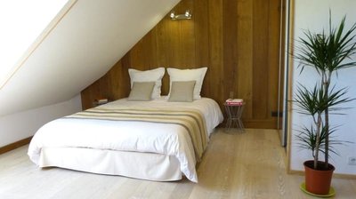 Millygite - Forêt Fontainebleau