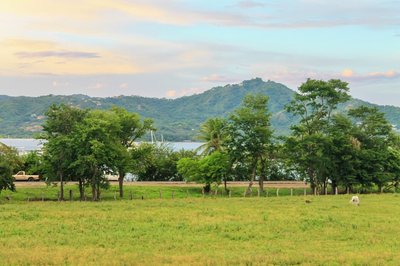 NELBLU FLAMINGO SUITES