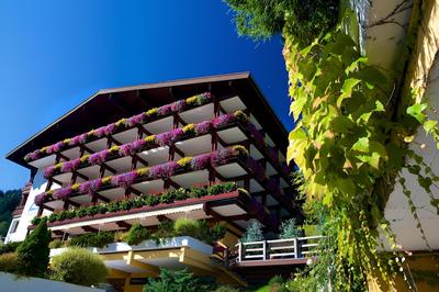 Alpin - Das Sporthotel