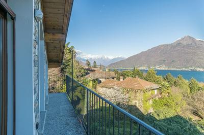 Cremia Dreamhouse