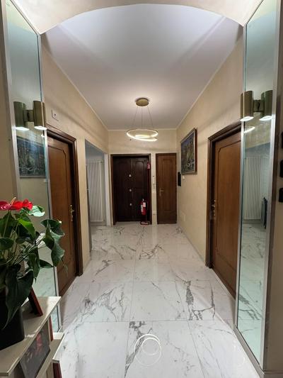 Suite 41