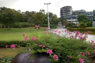 360 Condotel Khaoyai