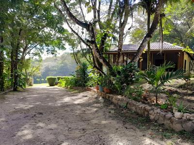 The Cabins at Monkey Fall
