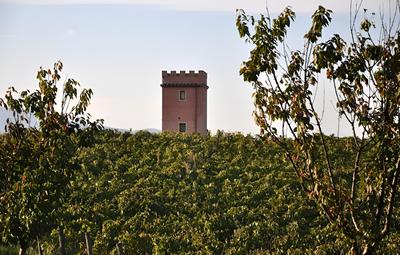 Fattoria Santa Lucia