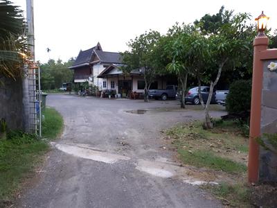 Baansuankamnun Montree