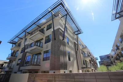 The Stay in Old Town