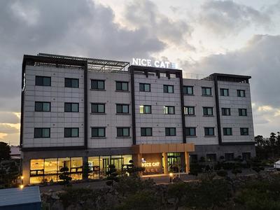 Nice Cat Hotel & Guest House
