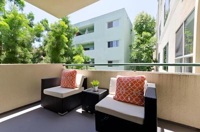 PALMS 2
