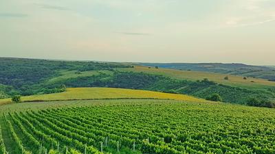 Seven Generations Winery Hotel & SPA