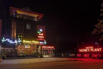 Hotel Money Plant