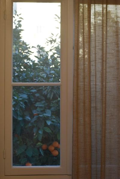 MEDLEY Conceptual Living & Spa