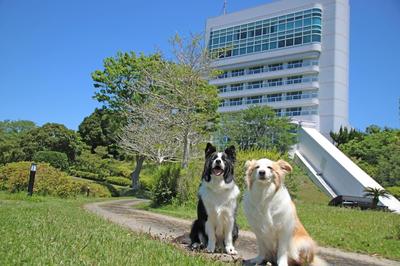 Nanki Shirahama Wan Wan Paradise Hotel