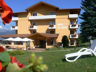 Hotel e Appartamenti Al Larice