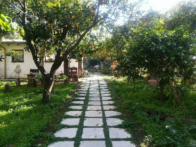 L'Aranceto Sorrentino Residence