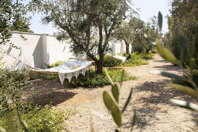 Panacea Residence