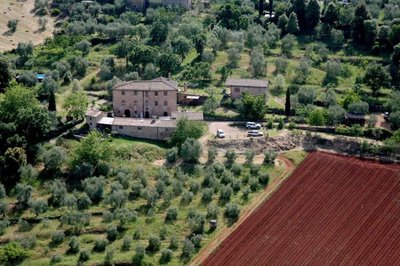 Podere Ficareto Farm