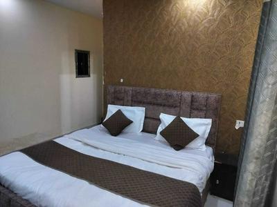Hotel Green Snapper