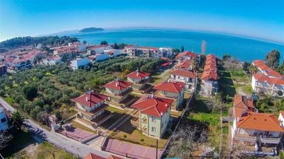 Olive Village