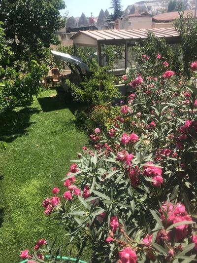 Family Cave Suites Hotel