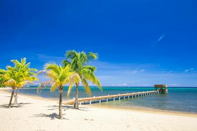 Lawson Rock Lionfish 108