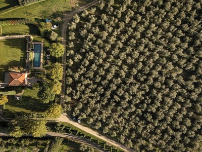 Villa Le Cipresse
