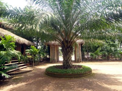 Golden Sunrise Hotel