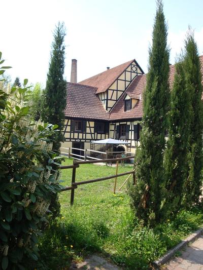 Maison d'hôte Alsace/Domaine du Moulin
