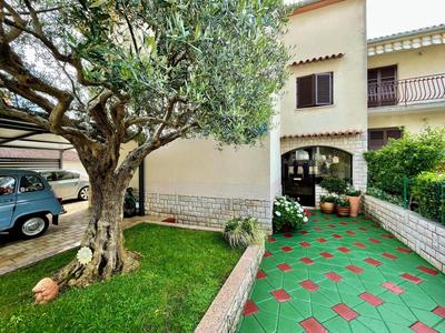Apartment Adri