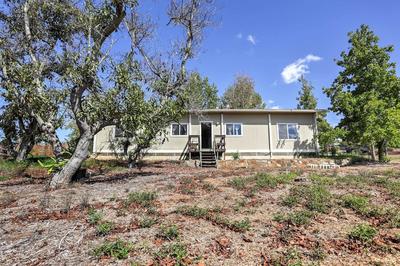 Escondido Vineyard Estate: Walk to Wineries!