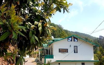 Wood Castle Luxury Home Stay