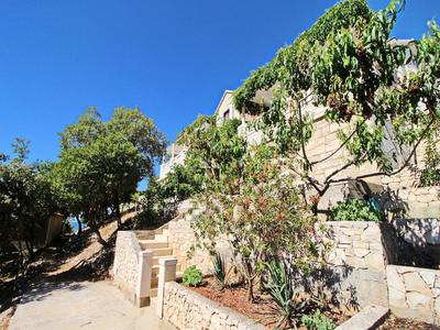 Oasis of Peace