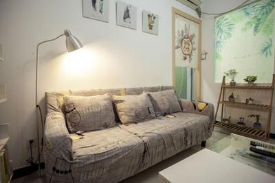 Xi'an kivi apartment