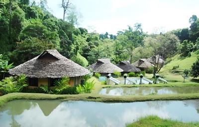 Tadplacamp Organic Farm Stay