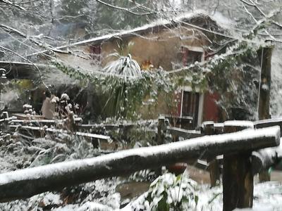 Centro Trekking A Cavallo Monte Brugiana