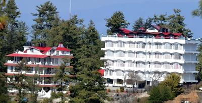 Hillcrest Harmony Gold