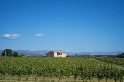 Charming 10 pax Villa in Cortona With Private Pool