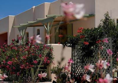 Flower and Crafts - Eco Farm Houses