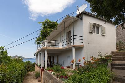 Apartments Miskovic