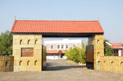 The Tiger Claws Tadoba